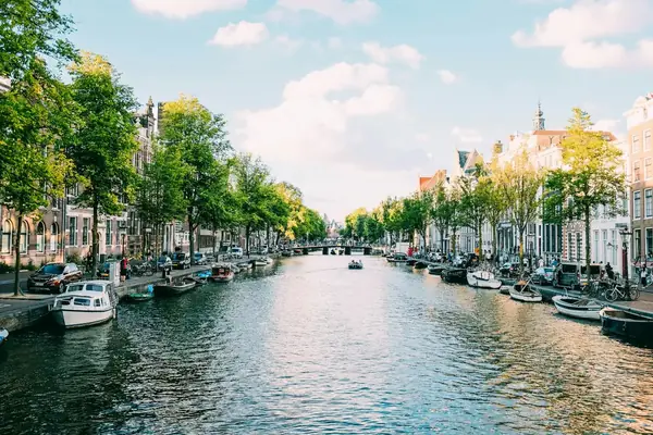 A tree-lined canal with historic houses, Amsterdam